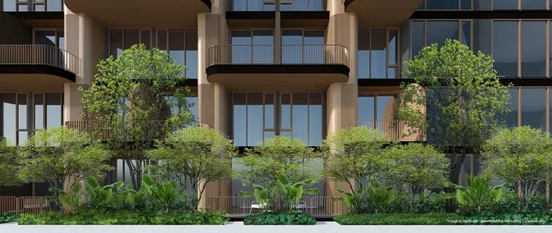 Peylaa — фото 2
